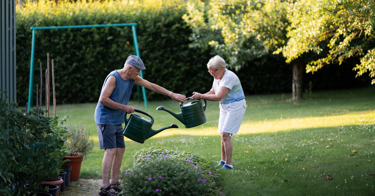 Elderly couple enjoying gardening and watering plants on a sunny day.